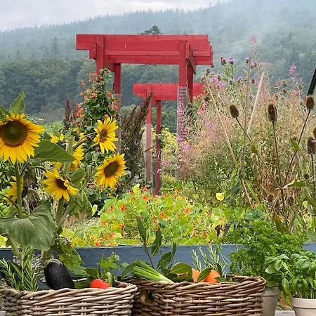 Ballyknocken Casa de Férias Glenealy