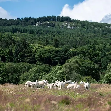 Ballyknocken *
