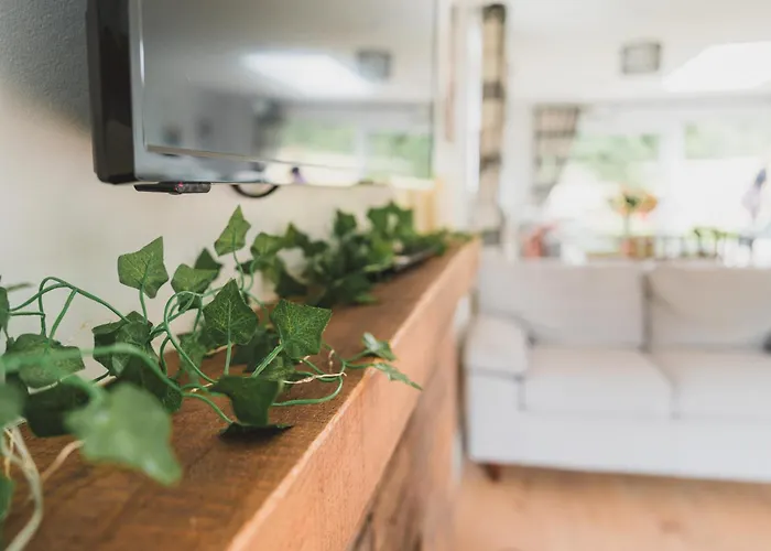 Ballyknocken 펜션 Glenealy