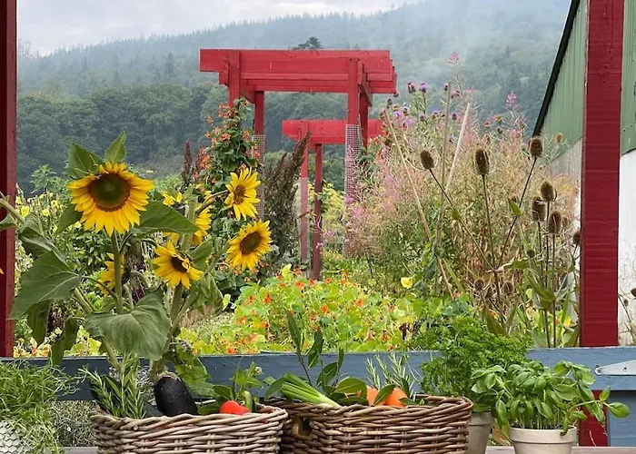 Ballyknocken 펜션 Glenealy